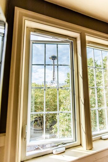 Windows view